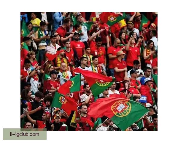 从托纳利对阵葡萄牙国家队看其比赛攻防影响力全面解析与战术价值